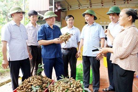 Chủ tịch UBND tỉnh Nguyễn Văn Phóng kiểm tra sản xuất nông nghiệp và chỉ đạo công tác phòng, chống mưa bão